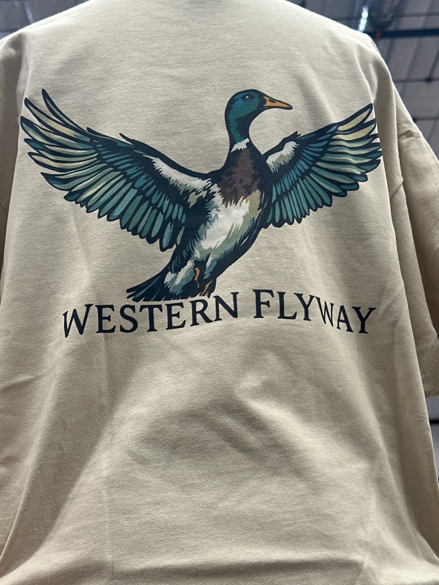 Western flyway